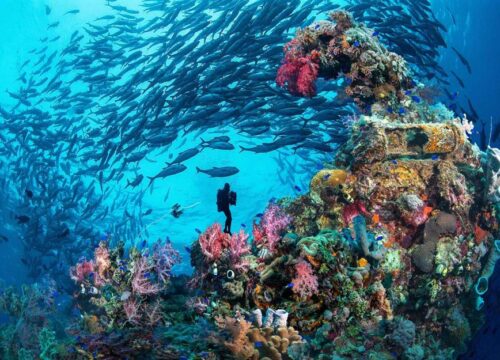 Underwater Beauty to visit around the world